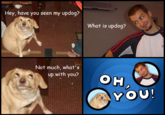 6O163's DOG