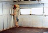 SCP Foundation