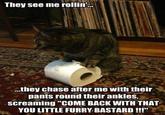 They see me rollin'
