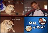 6O163's DOG
