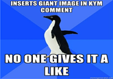 Socially Awkward Penguin