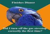 Paranoid Parrot