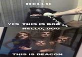 Yes, This is Dog