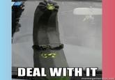 Deal With It