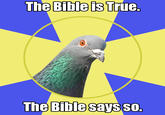 Religion Pigeon