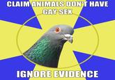 Religion Pigeon