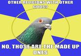 Religion Pigeon
