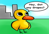 The Duck Song