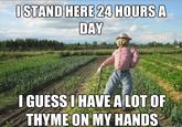 Scarecrow