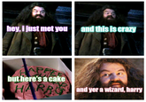 You're A Wizard, Harry!