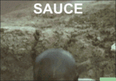 Sauce