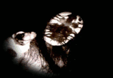 Creepypasta