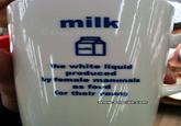 Captain Obvious