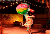 Circus Afro / Afro Circus