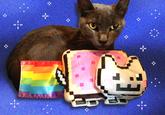 Nyan Cat / Pop Tart Cat