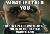 Matrix Morpheus