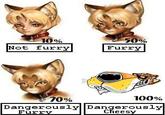 Furries