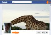 Facebook Timeline Covers