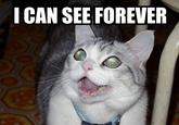 Oh God! I Can See Forever!