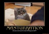 Every time you masturbate, God kills a kitten