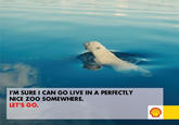 "Let's Go! Arctic" Hoax Campaign