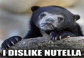 Confession Bear