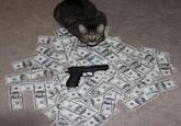CashCats