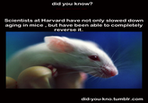 Did You Know?