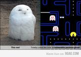Totally Looks Like / Separated At Birth