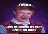 Bees