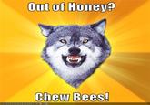 Bees