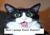 But I Poop From There