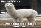What Has Science Done?