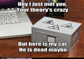 Schrodinger's Cat
