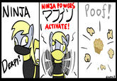 Ninjas