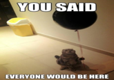 LOLcats