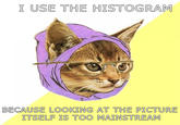 Hipster Kitty