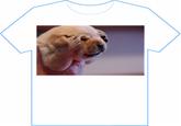 Headache Puppy