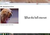 Headache Puppy
