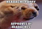 Headache Puppy