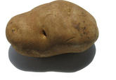 Recorded with a Potato