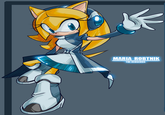 Sonic OCs