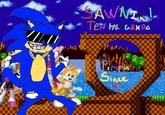 Sonic OCs