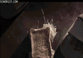 Troll Science / Troll Physics
