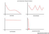LOLgraphs