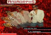 Celebrity Animorphs