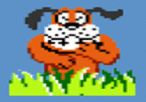Duck Hunt