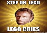 I Hope You Step on a LEGO