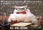 Chemistry Cat