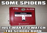Some Men Just Want to Watch the World Burn